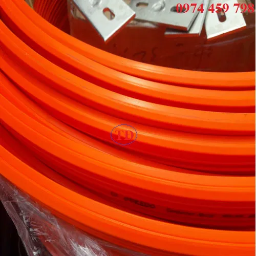 Ray điện an toàn cầu trục