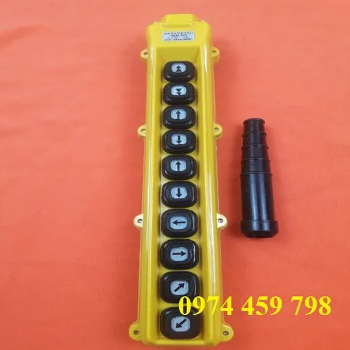Tay bấm điều khiển cầu trục 10 nút
