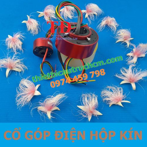 co-gop-dien-dang-kin co-gop-dien-dang-kin