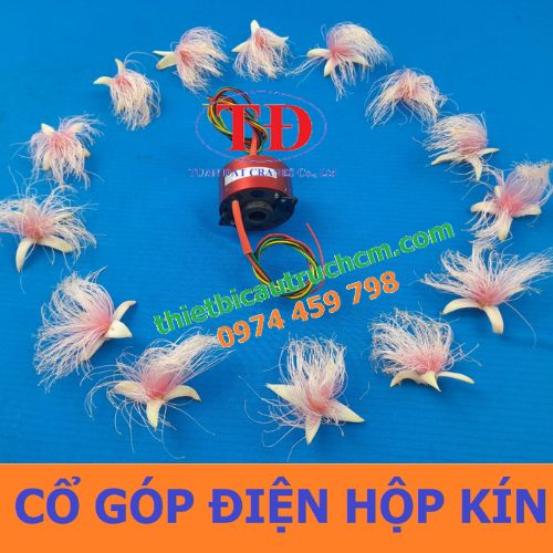 co-gop-dien-dang-kin co-gop-dien-dang-kin