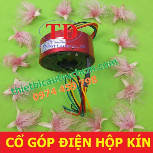 co-gop-dien-dang-kin co-gop-dien-dang-kin