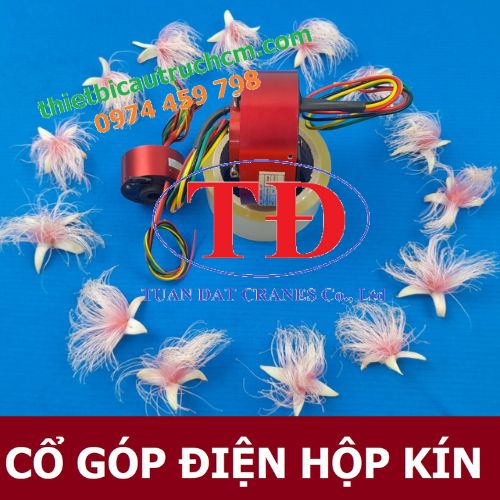 co-gop-dien-dang-kin co-gop-dien-dang-kin