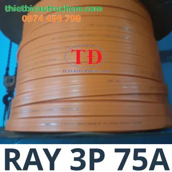 Ray điện an toàn 3P-75A cho cầu trục