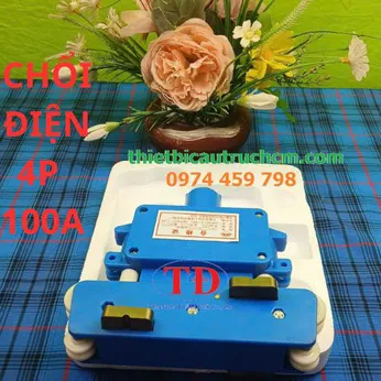 Chổi lấy điên 4P 100a dùng cho ray hôp kín