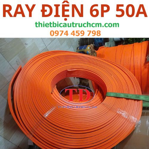 Ray điện an toàn cầu trục 6P 50A