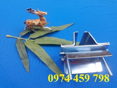 kep-cuoi-ray-c-cau-truc kep-cuoi-ray-c-cau-truc