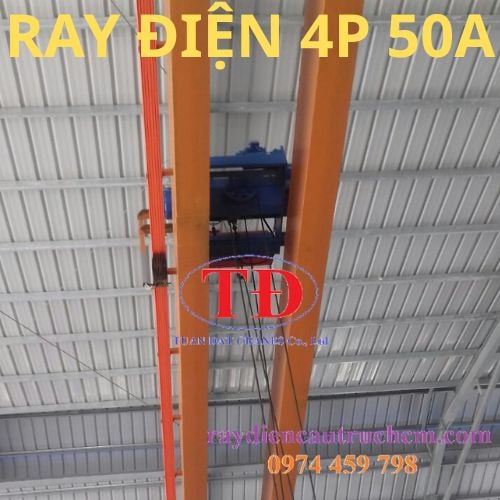 Ray điện cầu trục loại 4P 50A