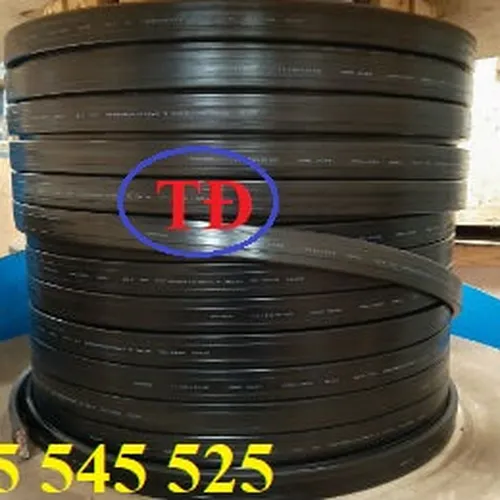 Dây cáp dẹt cầu trục 4Cx10