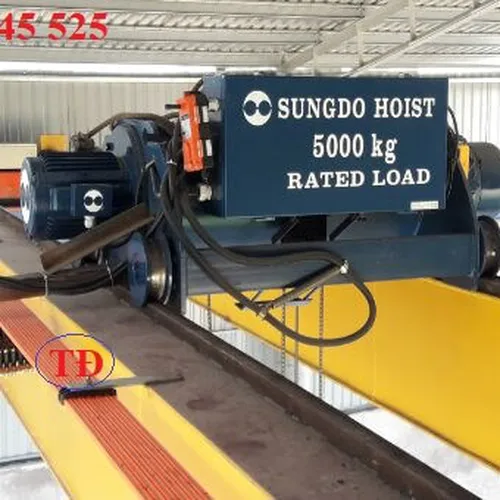 Palang cầu trục Sungdo