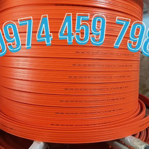 Ray điện an toàn cầu trục 3P-75A