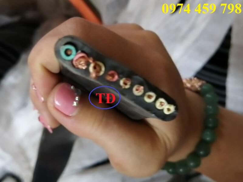 cap-det-cau-truc-3cx4-+5cx1.5 cap-det-cau-truc-3cx4-+5cx1.5