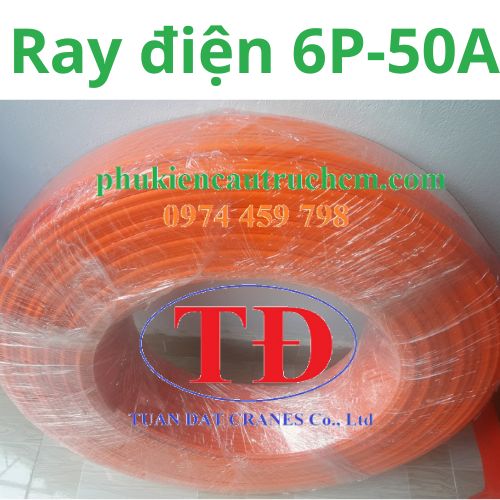 ray-dien-cau-truc-6p-50a ray-dien-cau-truc-6p-50a