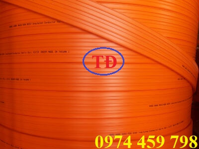 ray-dien-an-toan-6p ray-dien-an-toan-6p