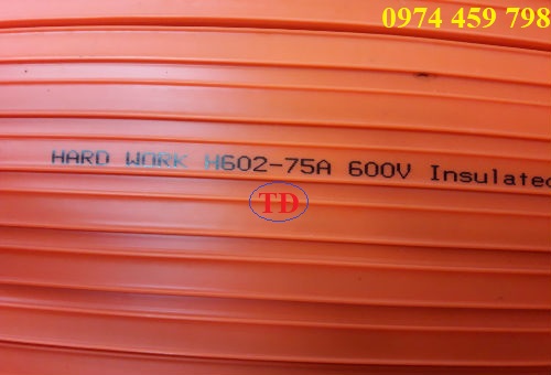 Ray điện an toàn Hard Work Đài Loan Ray điện an toàn Hard Work Đài Loan