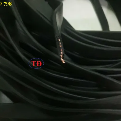 Cáp dẹt ray C cầu trục