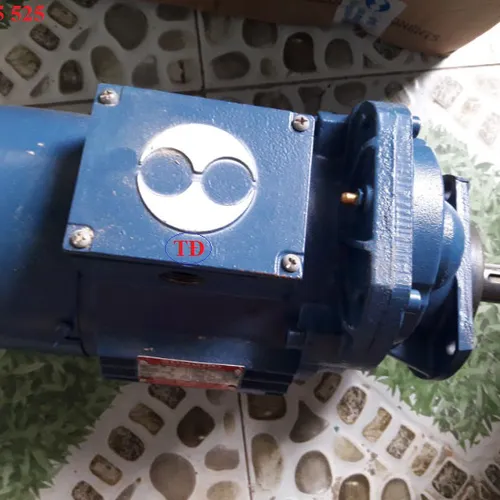 Motor dầm biên 1.5 Kw