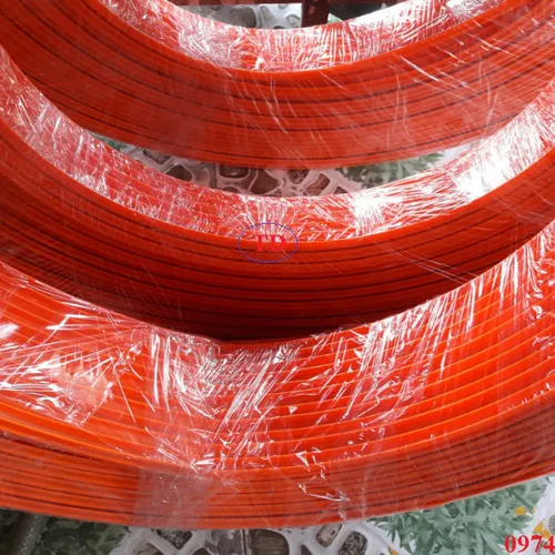 Ray điện an toàn 3 pha 100A