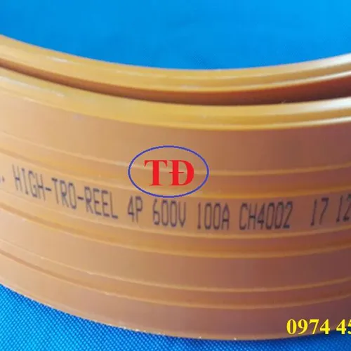 Ray điện an toàn 4P-100A hiệu ITS