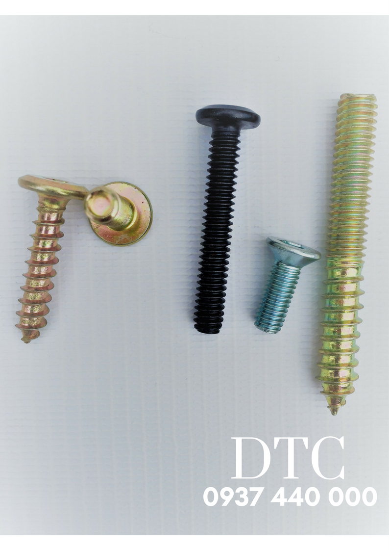 Ốc vít giá rẻ - Công ty TNHH Ray Trượt DTC Ốc vít giá rẻ - Công ty TNHH Ray Trượt DTC