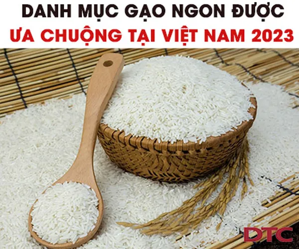 Danh mục gạo ngon được ưa chuộng tại Việt Nam