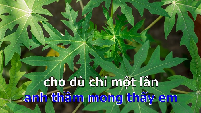 bài hát karaoke nhạc trẻ sôi động