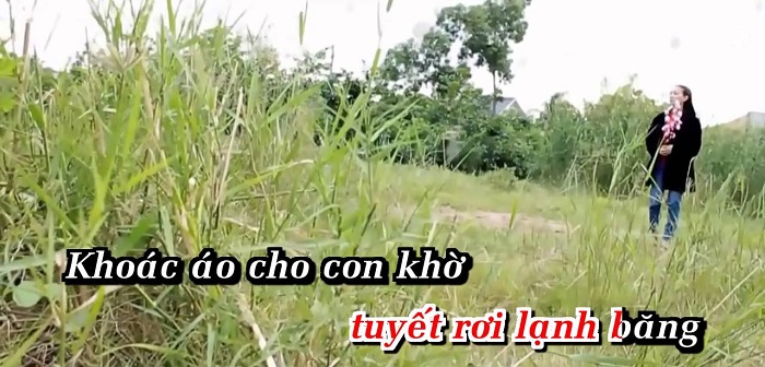 Các bài karaoke hát về mẹ