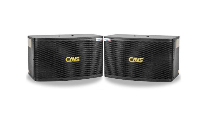 Bộ đôi loa karaoke cho dàn karaoke gia đình được yêu thích nhất