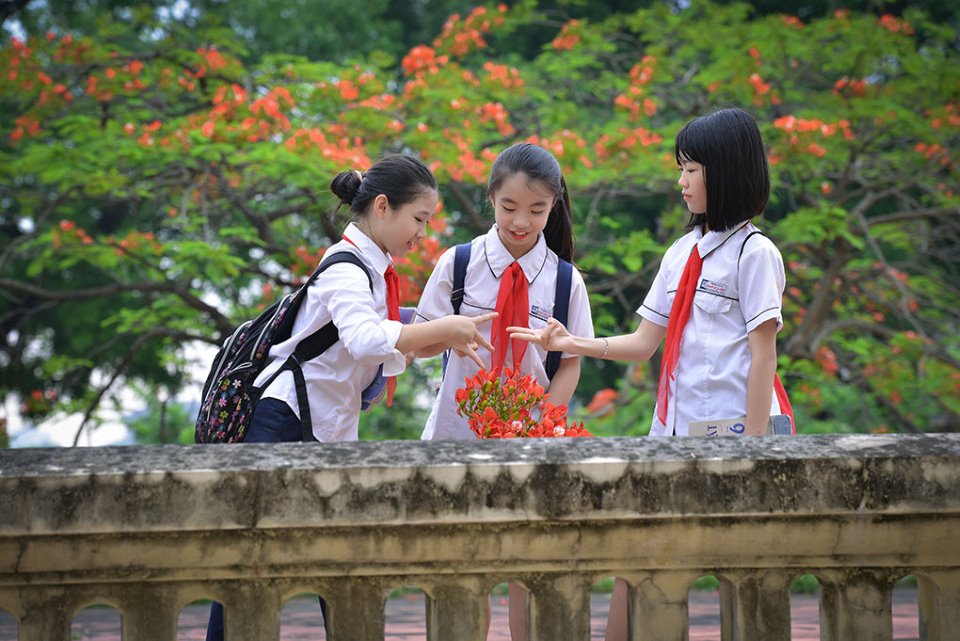 Bài hát về tình cảm học trò