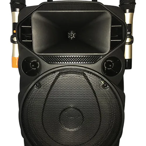 LOA KÉO KHÔNG DÂY BLUETOOTH TEMEISHENG A1221 - CHÍNH HÃNG