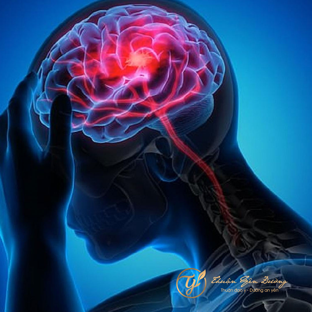 Tại sao bồi bổ khí huyết lại quan trọng?