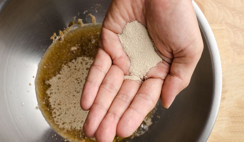 Men bia (Yeast) Men bia (Yeast)