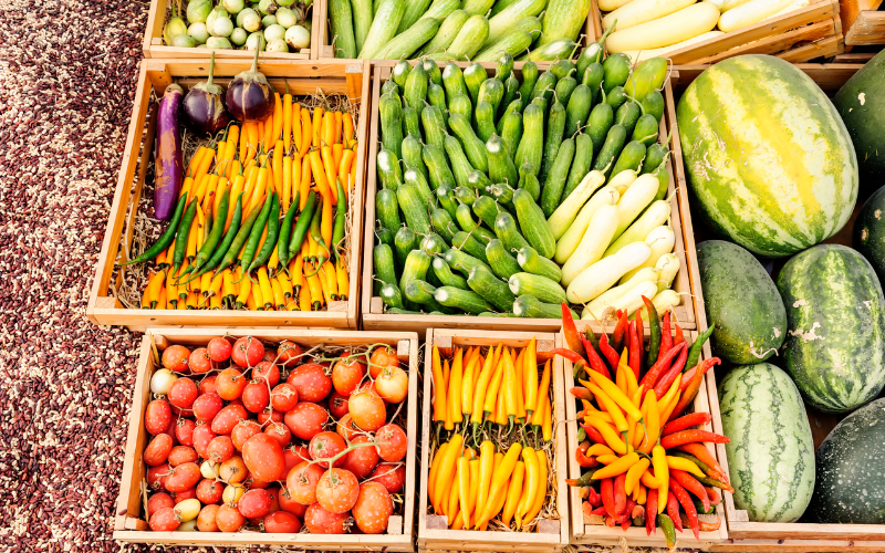 Đà Lạt tự hào là nguồn cung cấp rau sạch lớn nhất miền Nam Đà Lạt tự hào là nguồn cung cấp rau sạch lớn nhất miền Nam