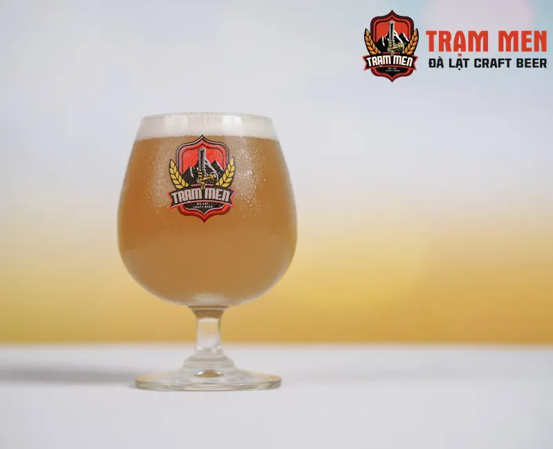 Bia Lager– TM Pilsner (PILSNER)