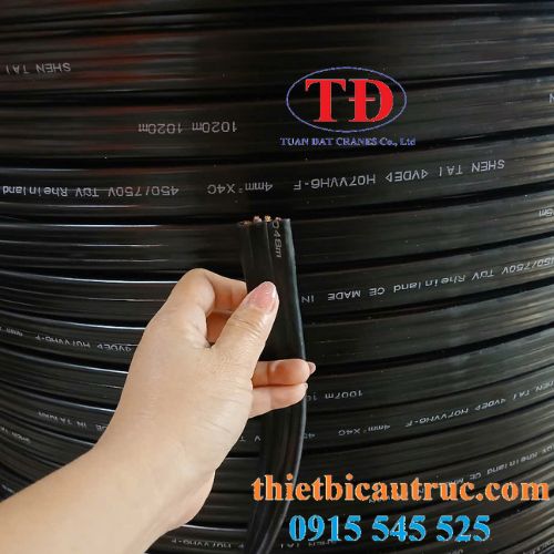 cap-det-cau-truc-4cx4.0 cap-det-cau-truc-4cx4.0