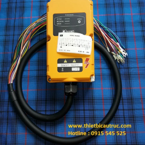 Bộ thu của điều khiển từ xa cầu trục Bộ thu của điều khiển từ xa cầu trục