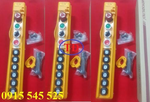 Tay bấm điều khiển cầu trục HY-1029 Tay bấm điều khiển cầu trục HY-1029