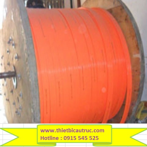 Ray điện an toàn của hãng I.T.S Ray điện an toàn của hãng I.T.S