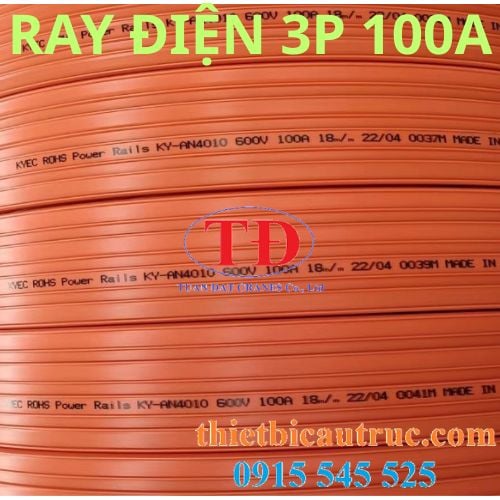 ray-dien-cau-truc-3p-100a ray-dien-cau-truc-3p-100a