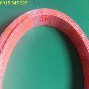 Ray điện an toàn 3 pha 50 ampe