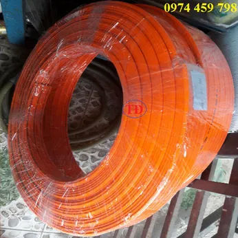Ray điện an toàn 4P