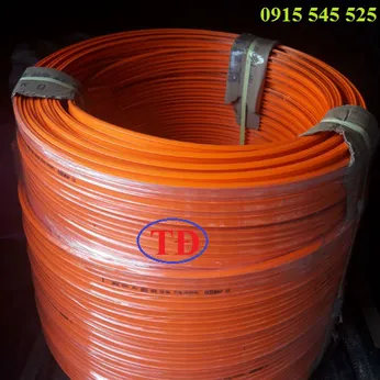 Ray điện an toàn cầu trục