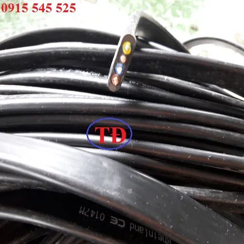 Cáp dẹt ray C cầu trục