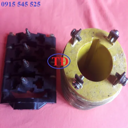 Cổ góp điện chổi than
