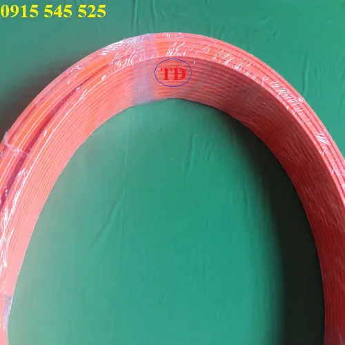 Ray điện an toàn 3 pha 50 ampe