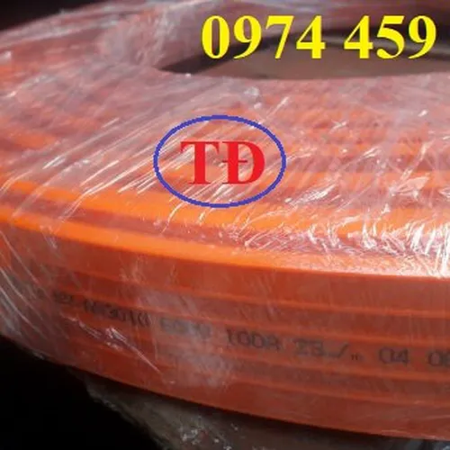 Ray điện an toàn 3P-100A cho cầu trục