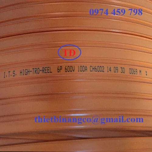 Ray điện cầu trục 6P 100A