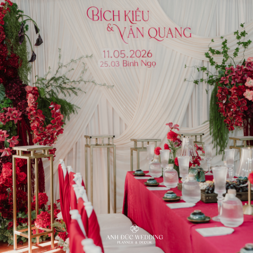 KEM & ĐỎ RƯỢU | NGHỆ THUẬT TƯƠNG PHẢN MỀM & CÂN BẰNG SẮC ĐỘ