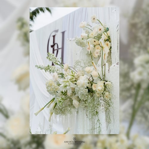 TRẮNG TRONG | TINH KHIẾT NHƯ NỤ CƯỜI BÍCH HOA