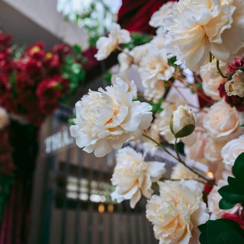 𝐕𝐞𝐥𝐯𝐞𝐭 𝐑𝐞𝐝 𝐇𝐨𝐦𝐞 | Tâm Như & Ngọc Phú