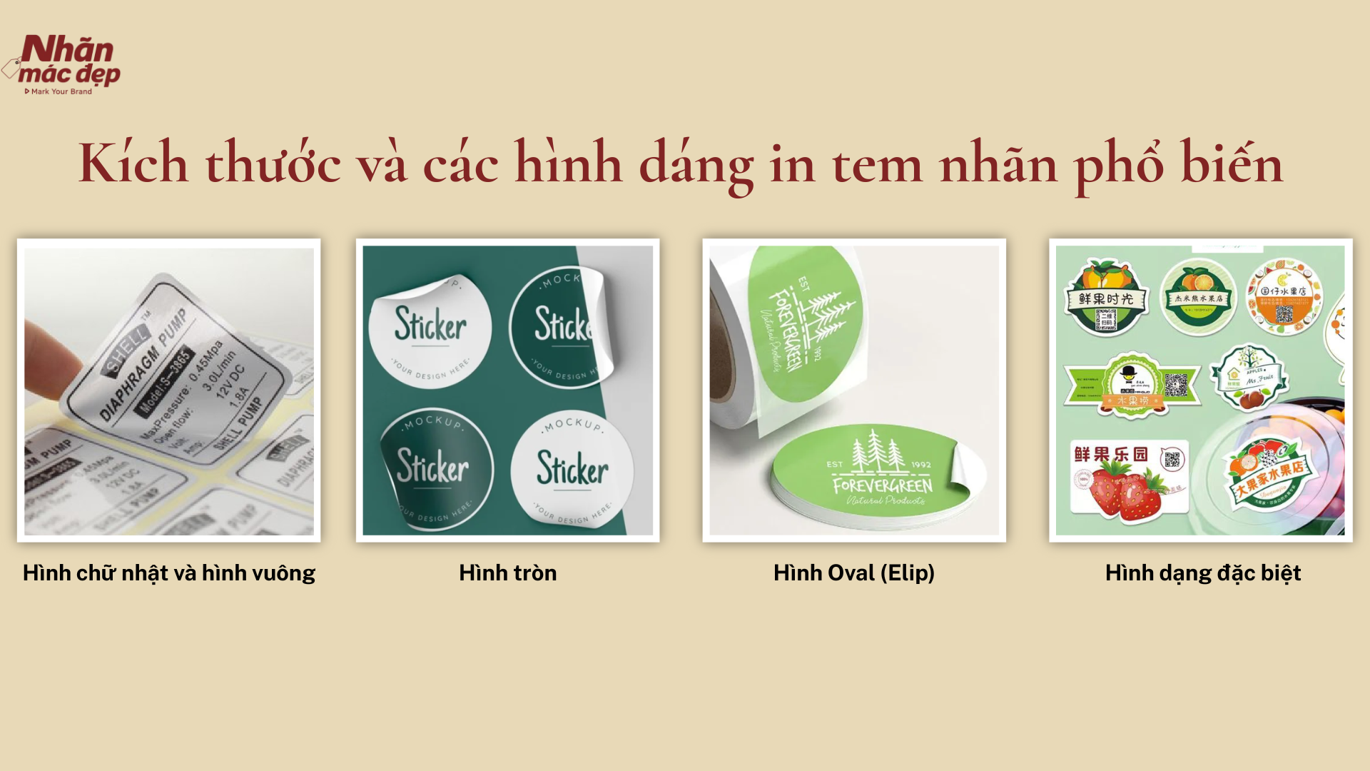 Kích thước và các hình dáng in tem nhãn phổ biến Kích thước và các hình dáng in tem nhãn phổ biến